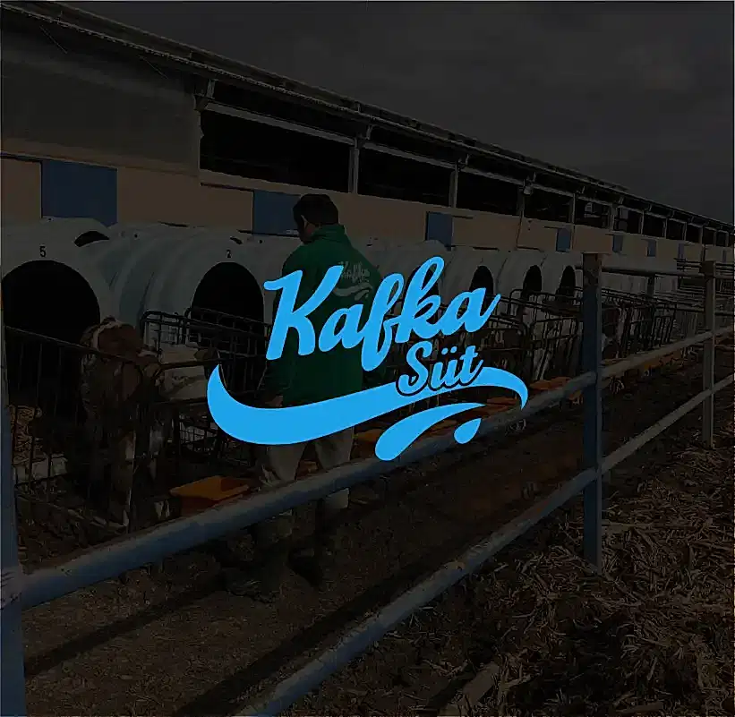 KAFKA SÜT